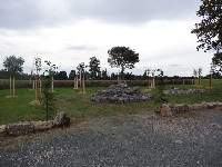 Dsc00613