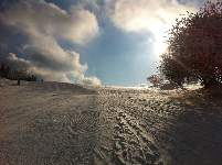 Bilder_i_phone_3387