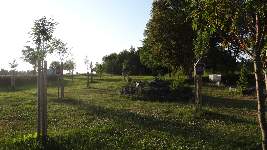Dsc03549