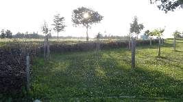 Dsc03550