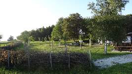 Dsc03551