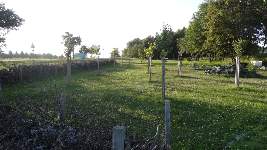 Dsc03554