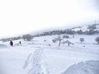 Dsc02339