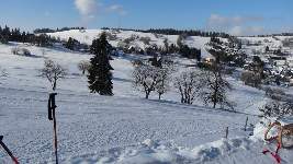Dsc02596