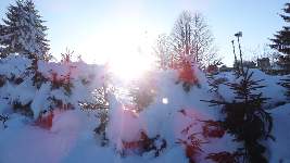Dsc02627