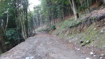 Dsc07212