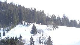 Dsc07723