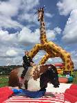 Img-20170515-wa0012