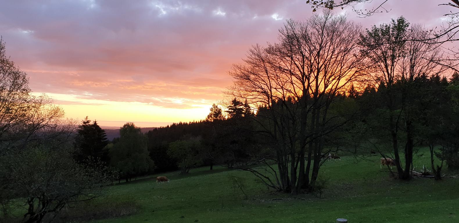 Schnappsch�sse Gemeinde